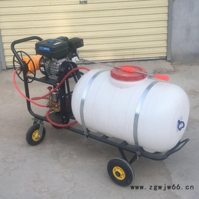 农药汽油喷雾器 喷枪射程远打药机 宇佳消毒防疫高压降尘喷雾机