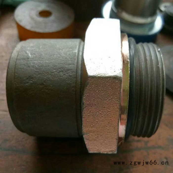 红雷  供应  不锈钢胶管接头   液压管件对丝图6