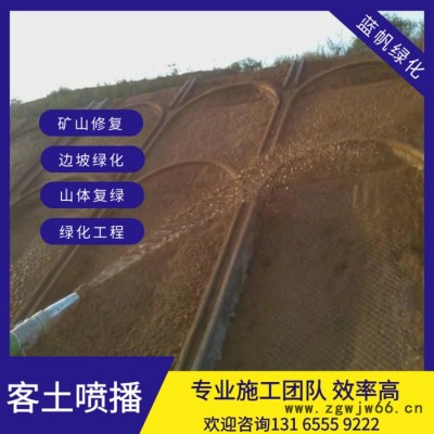 喷播草籽客土喷播机喷枪头客土喷播多钱一平方喷播种草