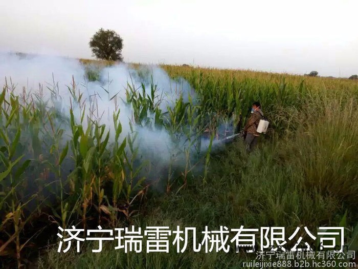 高压喷枪式果树烟雾打药机  脉冲式烟雾机凤山报价图7