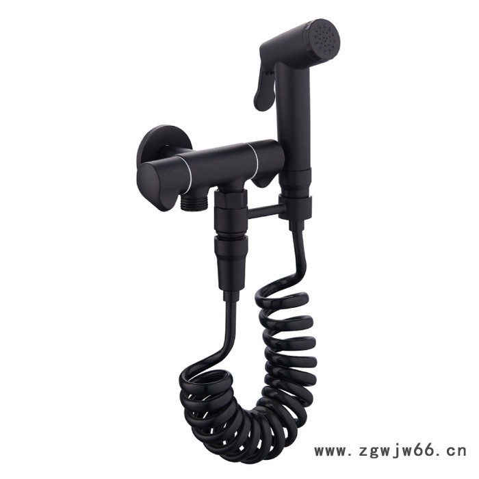 【特价】马桶伴侣冲洗器套装高压喷枪 DT-3502图2