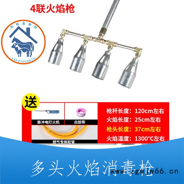 煤气喷枪 质量可靠