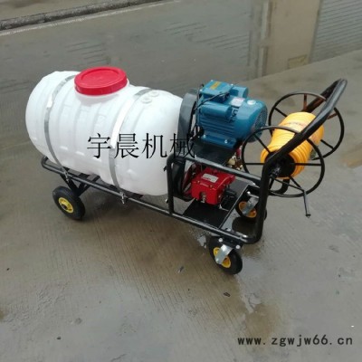 大棚专用消毒机 手推汽油打药机 宇晨高压喷枪消毒机
