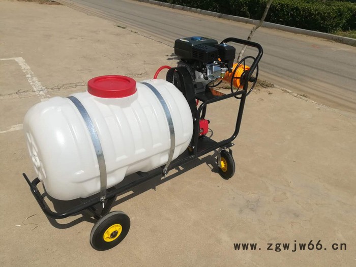 厂家定制高压喷枪打药机 200L手推式大容量喷雾机 大容量汽油打药机图8