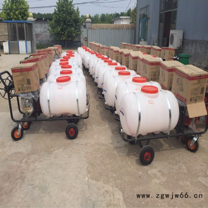 厂家定制高压喷枪打药机 200L手推式大容量喷雾机 大容量汽油打药机图3