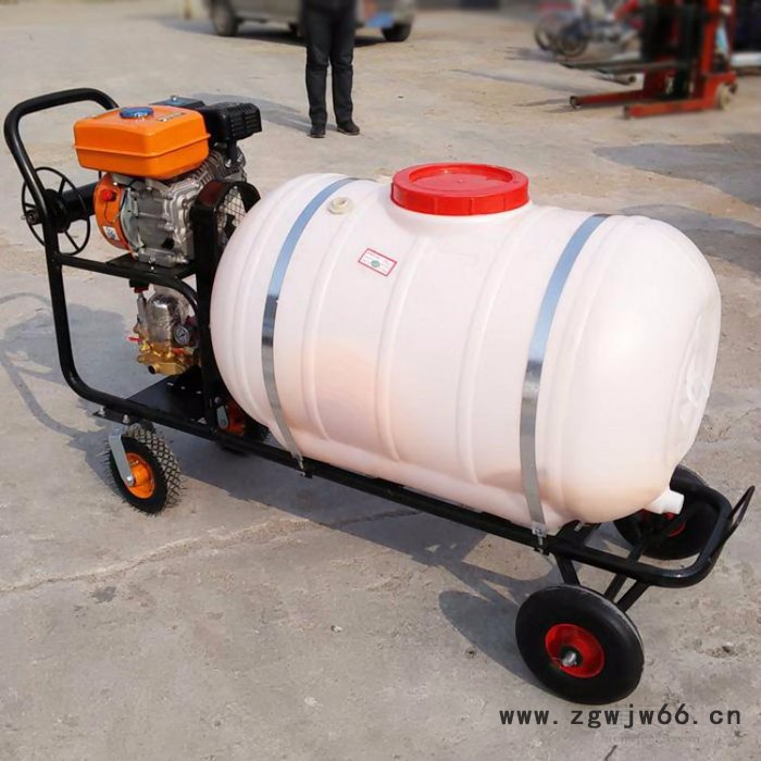 厂家定制高压喷枪打药机 200L手推式大容量喷雾机 大容量汽油打药机图4