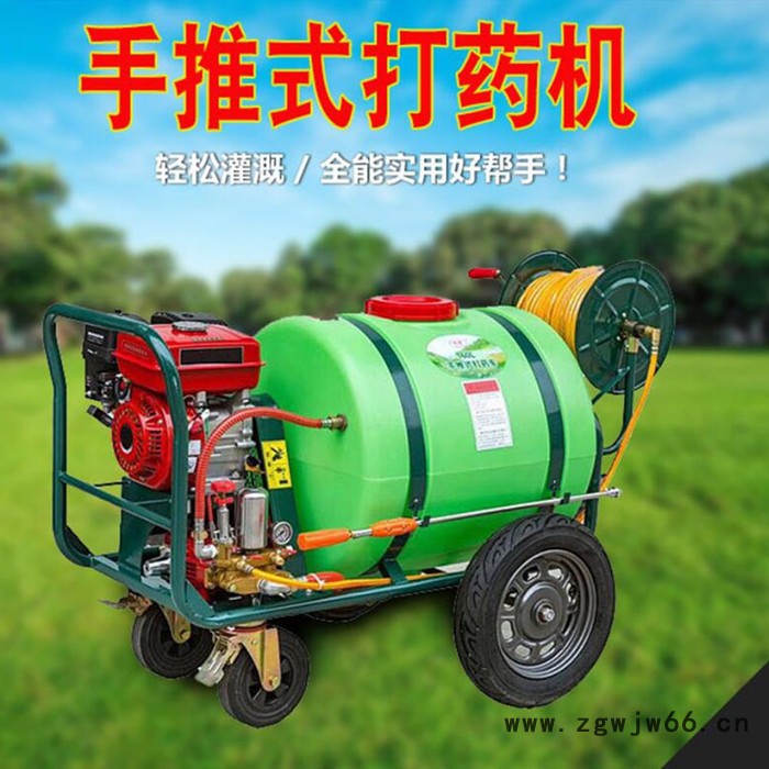 厂家供应手推式打药机手推式汽油柴油高压打药车菜园农田喷药机 高压推车式蔬菜大棚杀虫喷药机 自带管子喷枪图4