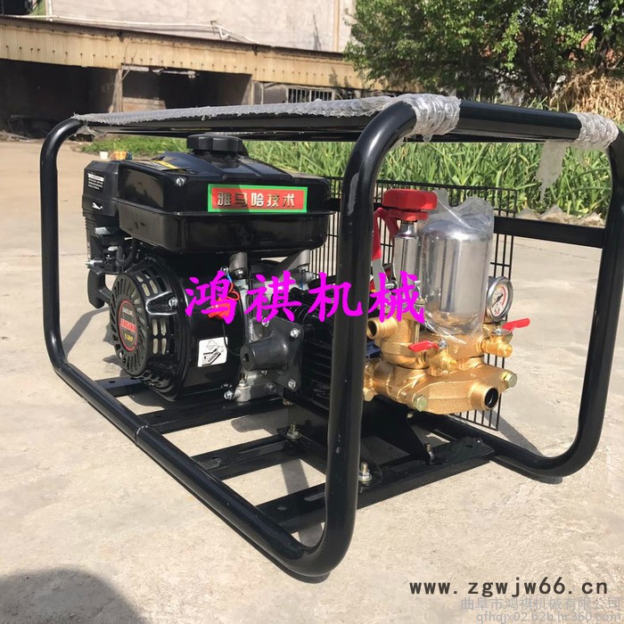 400升容量的打药机 鸿祺风送打药机 高压喷枪打药机图5