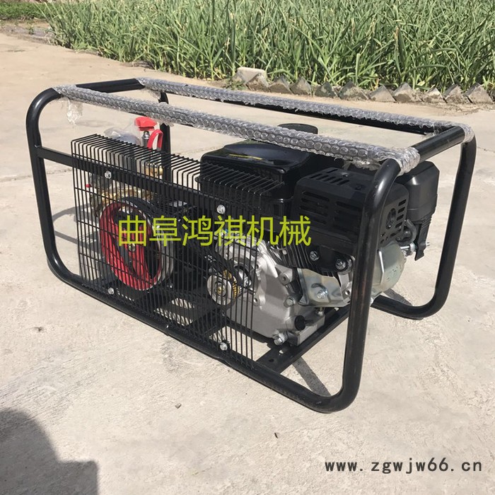 400升容量的打药机 鸿祺风送打药机 高压喷枪打药机图2