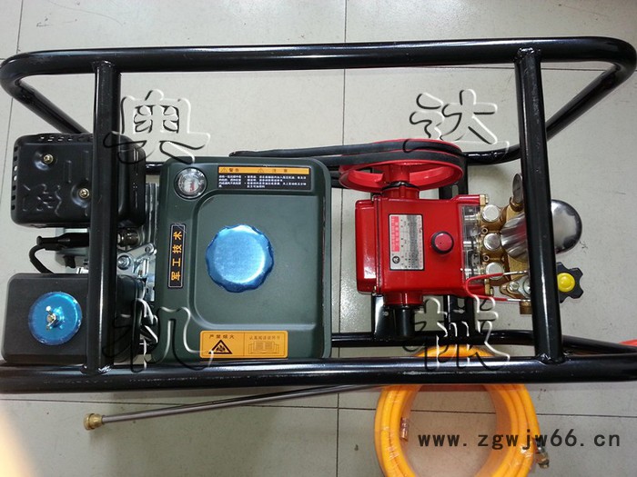 农用多功能打药机 电动喷药机远射程喷枪 农药电动式喷雾器图2