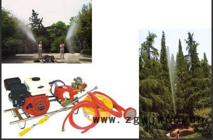 农用多功能打药机 电动喷药机远射程喷枪 农药电动式喷雾器