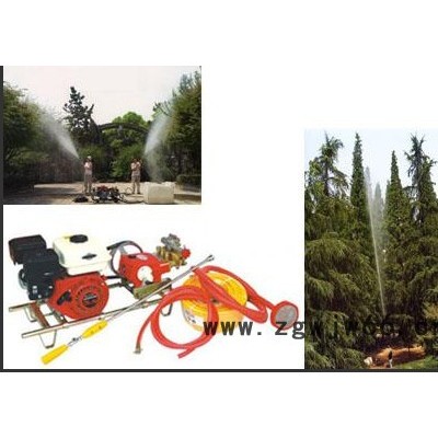 农用多功能打药机 电动喷药机远射程喷枪 农药电动式喷雾器