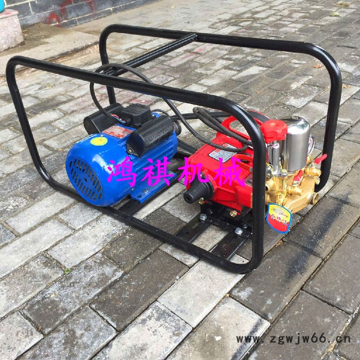 普通喷枪打药机 黄州区DY 汽油喷雾器型号图5