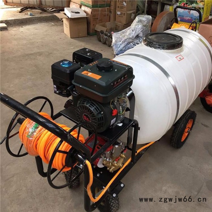 高压喷枪打药车 行走式打药机价格 四冲程农作物杀虫喷雾器厂家图2