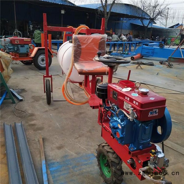 高压喷枪打药车 行走式打药机价格 四冲程农作物杀虫喷雾器厂家图7