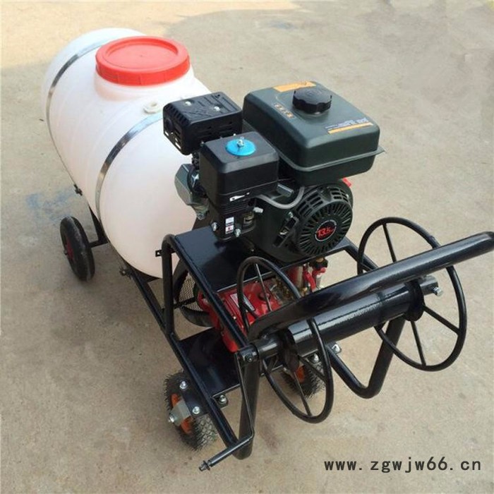 高压喷枪打药车 行走式打药机价格 四冲程农作物杀虫喷雾器厂家图3
