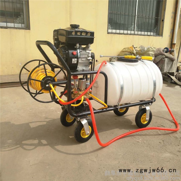 打药机喷雾器 畜牧养殖防疫消毒机汽油喷枪消毒机厂家/300L手推式打药机图4