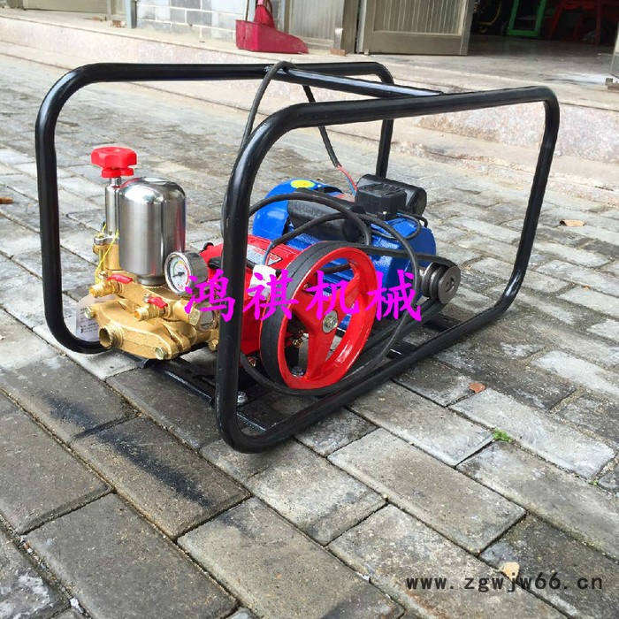 轻便耐用高效打药机 新款推荐打药机 鸿祺 高压喷枪打药机图5