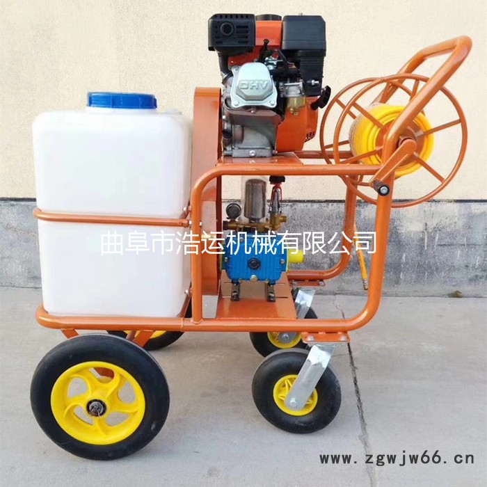 山东曲阜浩运机械仓库消毒灭菌喷雾器 高压喷枪自动打药机 园林手推式植保喷雾器图3