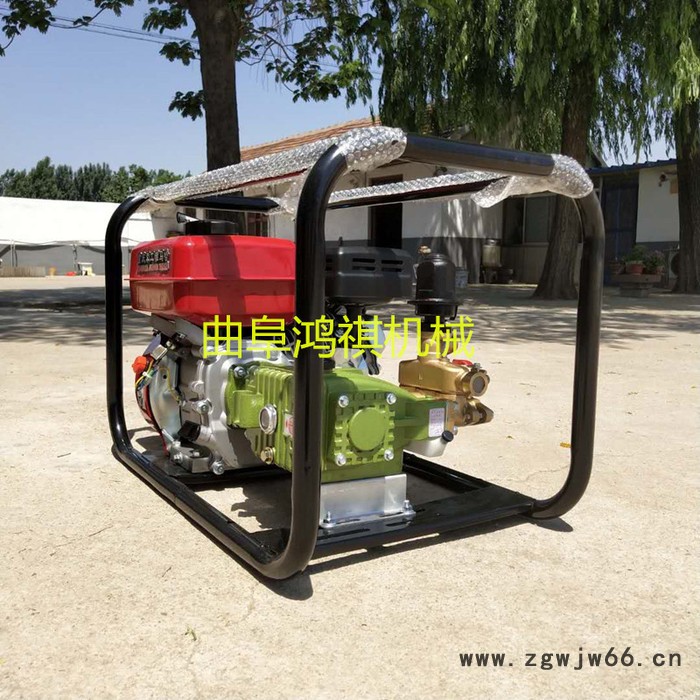 打药机批发  普通喷枪打药机 汽油柴油电动打药机P图6