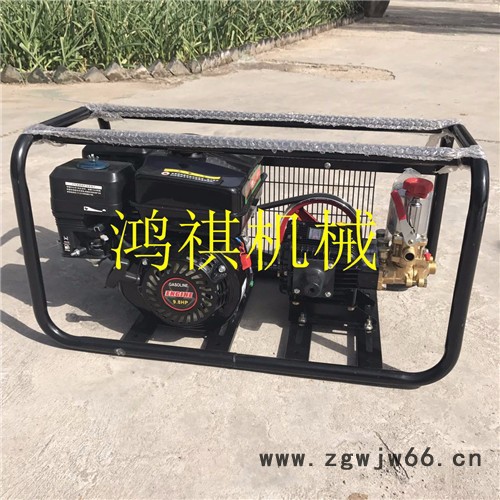 便于操作框架打药机 高压喷枪打药机 汽油柴油电动打药机P图6