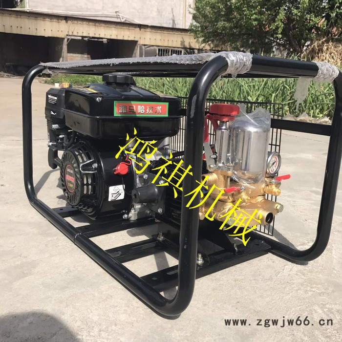 便于操作框架打药机 高压喷枪打药机 汽油柴油电动打药机P图5