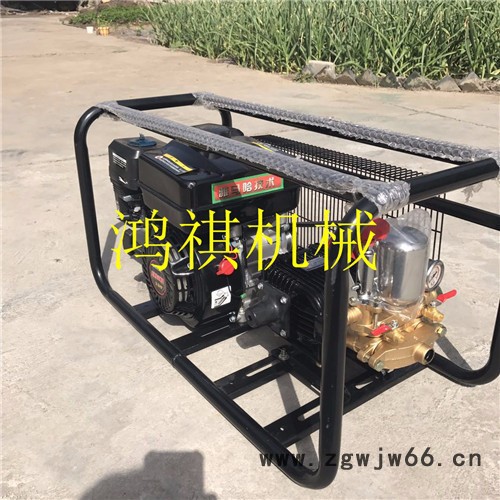 便于操作框架打药机 高压喷枪打药机 汽油柴油电动打药机P图3