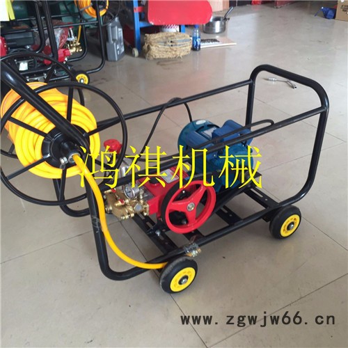 便于操作框架打药机 高压喷枪打药机 汽油柴油电动打药机P图2