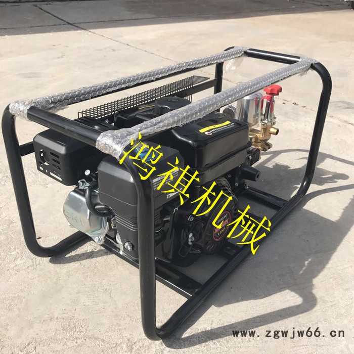便于操作框架打药机 高压喷枪打药机 汽油柴油电动打药机P图4