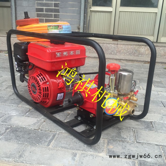 便于操作框架打药机 高压喷枪打药机 汽油柴油电动打药机P图7