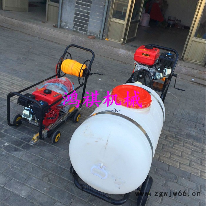 高压推车打药机 普通喷枪弥雾机 汽油柴油电动打药机P图7