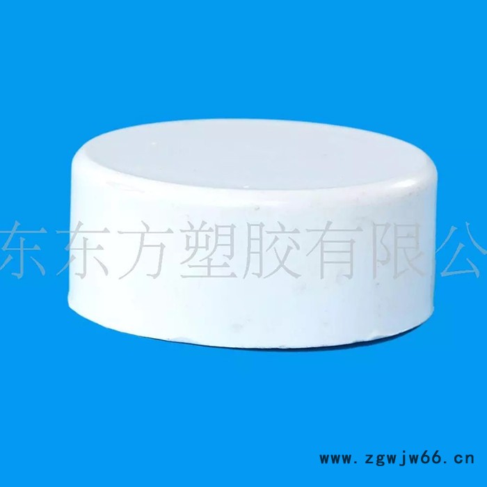 厂家现货供应PVC-U给水管件 PVC闷盖φ20 耐腐蚀管帽 堵头 欢迎致电图2