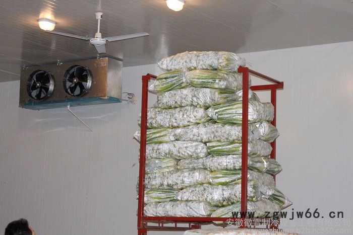 金寨聚氨酯冷库喷涂图2