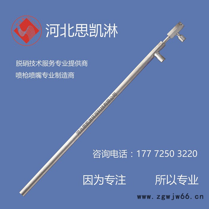 河北思凯淋SKL-GE 脱硝喷枪图2