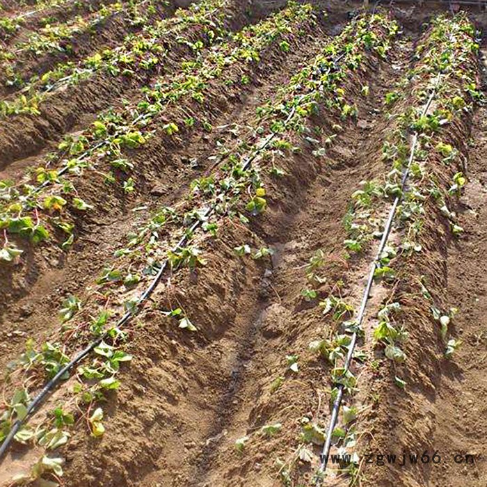 滴灌带、滴灌管_pe管材、管件_滴头图8