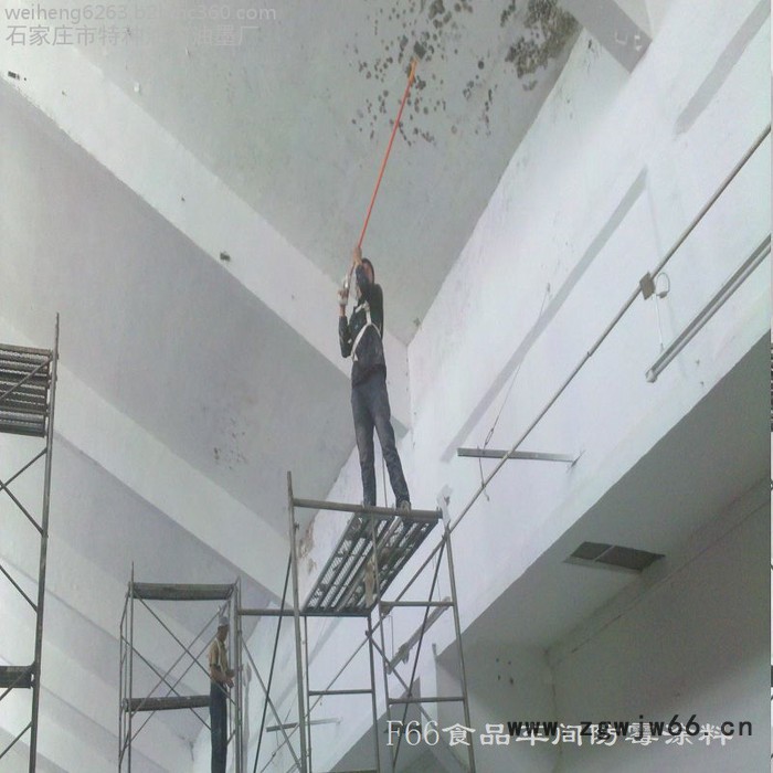 F66防霉涂料喷涂施工时，为何会产生针孔图4