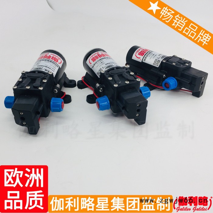 喷泉12v器喷涂高压专用用高压喷头喷灌喷雾水泵图7