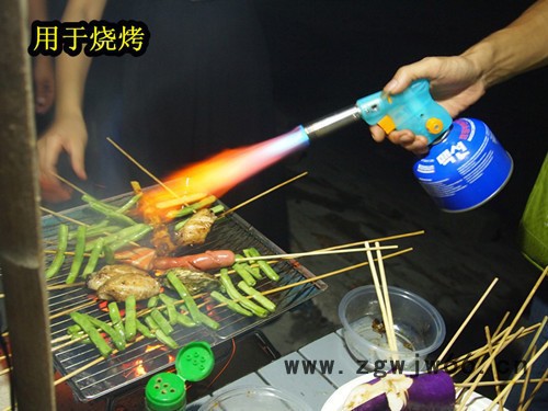 绿捷户外喷枪LJ--5001A长气罐喷枪户外喷头食物喷枪**图2