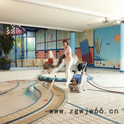 大力神M2000带加长杆喷枪12481 高压水枪 冷水高压清洗机 高压清洗机 进口高压清洗机图2