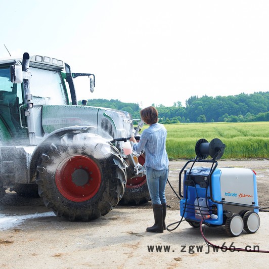 大力神M2000一体式喷枪12486-D25055  高压水枪 冷水高压清洗机 高压清洗机 进口高压清洗机图2