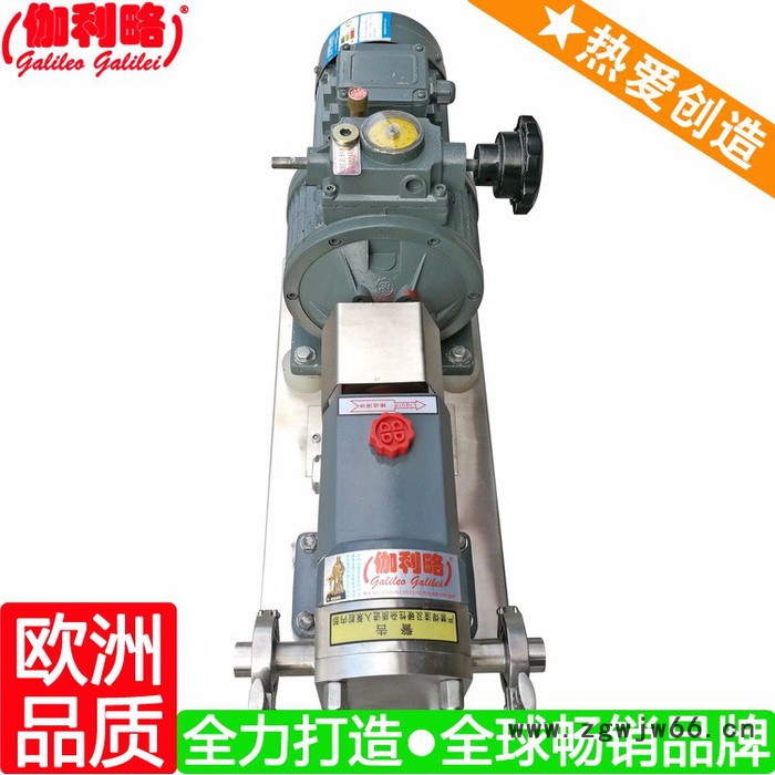 大流量转子泵 喷涂输送泵 球形转子泵 唐图3