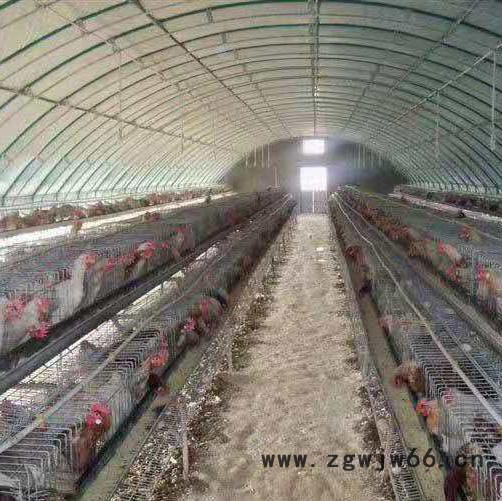 【量大优惠】 盈浩 现货 蔬菜大棚管件 质量保证 大棚管 钢管大棚