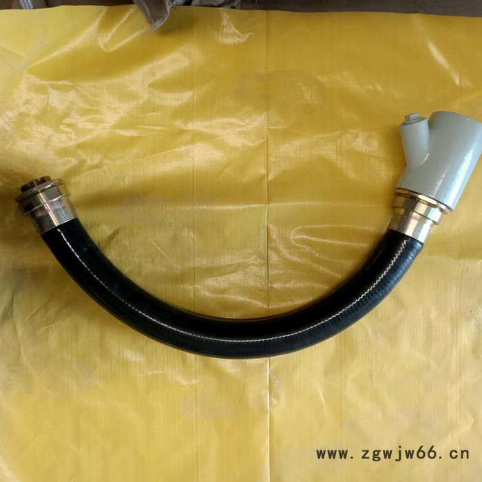 双日  防爆挠性管规格 防爆挠性管 BNG防爆挠性连接管 防爆挠性管厂家 防爆管件图2