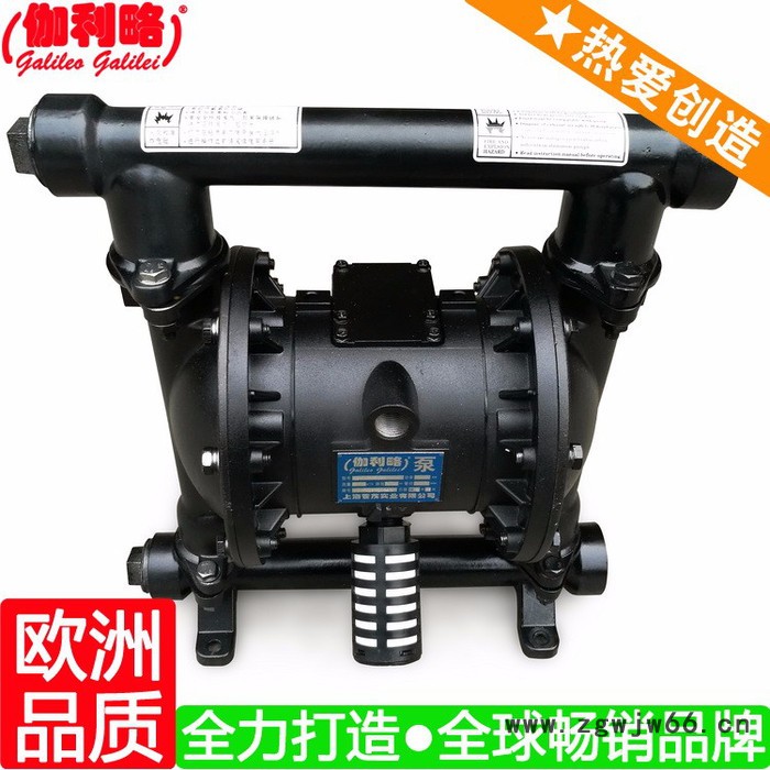 上海矿用气动隔膜泵厂家 上海喷涂用隔膜泵 伽肆图4