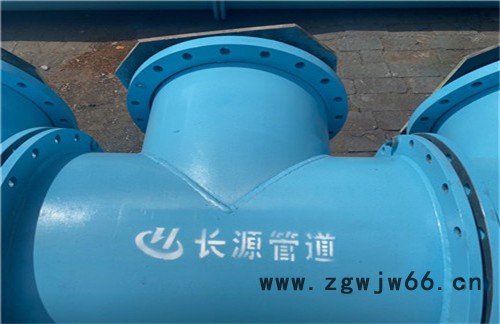 四氟管道 ptfe管道 衬四氟管道管件 沧州长源图3