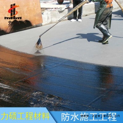 力硕 桥面防水补漏工程 承包桥面涂层防水施工 桥面防水喷涂施工 高性价比
