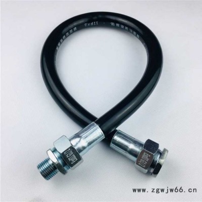 双日  防爆护线管 防爆挠性管 防爆管件 定做防爆软管 黄山防爆挠性连接管