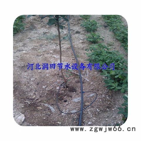 江西园艺栽培小管出流滴灌 上饶县果树滴灌管材管件促销图7