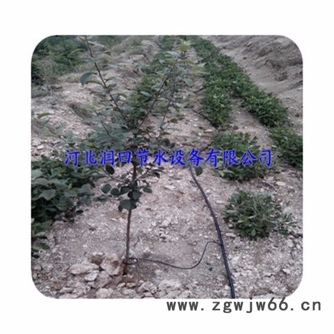 江西园艺栽培小管出流滴灌 上饶县果树滴灌管材管件促销图6