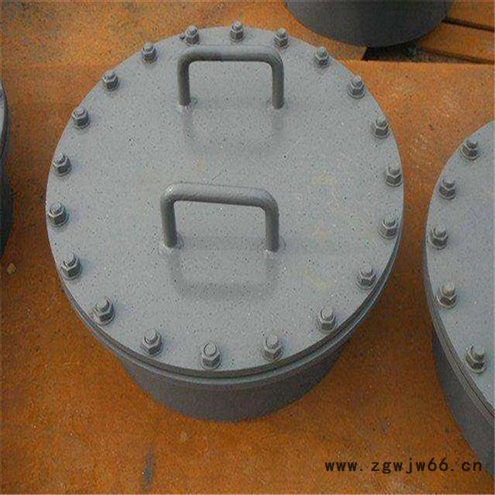 河北固元管件 生产垂直吊盖板式平焊法兰人孔图4